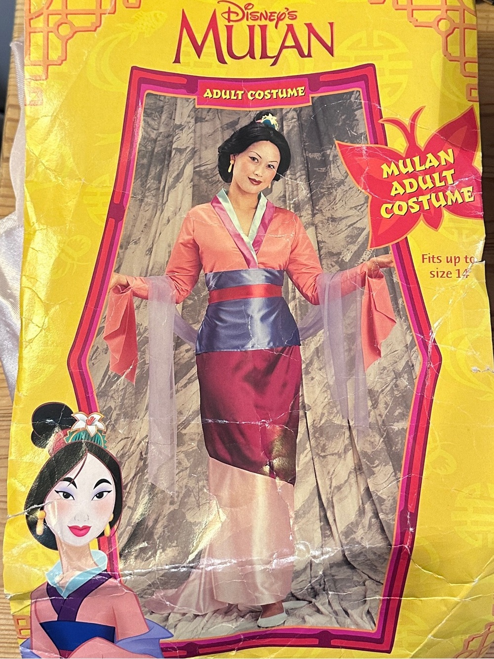 Disney Mulan Dress Adult Costume